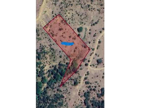 Tarlabaşı Mah. Havran Satılık Tarla |  8590M2 2.500.000Tl Resim-2