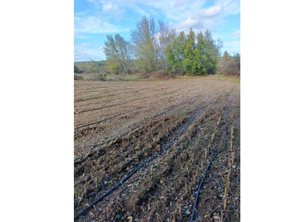 Bahçeli Köyü Ezine Satılık Tarla |  17000M2 6.750.000Tl Resim-2