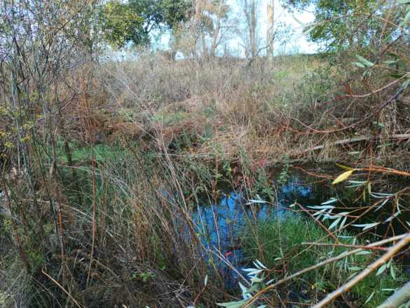 Çanakkale Ezine Bahçeli Köyünde 16 699 M² Satılık Tarla Fırsat Arazi
