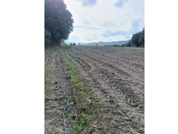 Bahçeli Köyü Ezine Satılık Tarla |  17000M2 6.750.000Tl Resim-4