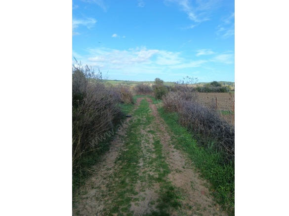 Bahçeli Köyü Ezine Satılık Tarla |  17000M2 6.750.000Tl Resim-5