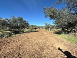 Edremit Kızılkeçili Mah. Satılık Bahçe 304 M2