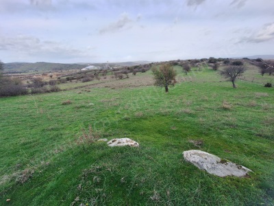 Ezine Organize Sanayi Bölgesine Sınır 12 000 M2 !!! Satılık Arazi Çınarköy Köyü