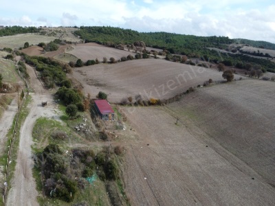 Çanakkale İzmir Çevreyolu Üzerinde 22 000 M2 Fırsat Arazi Satılık Tarla Ezine Çarıksız Köyü