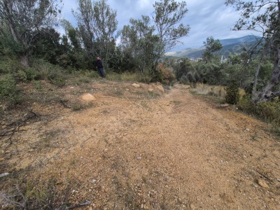 Deniz Manzaralı Zeytin Ağacı Bahçeli 1453 M² Lüks Satılık Zeytinlik Zeytinlik! Edremit Yolören Mah