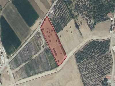 Edremit Bostancı Köyünde 6 5 Dönüm 17 Zeytin Ağaçlı Yatırımlık Arazi Satılık Tarla Mah