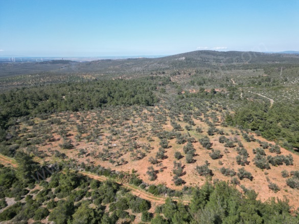 Karadağ Köyü Ezine Satılık Tarla |  37600M2 12.200.000Tl Resim-5