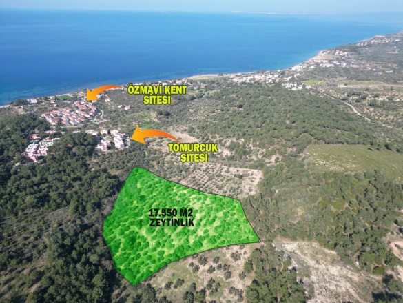 Tavaklı İskelesi Mah-Tavaklı . Ezine Satılık Arazi |  17550M2 20.000.000Tl Resim-2