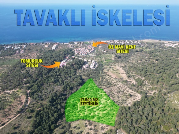 Tavaklı İskelesi Mah-Tavaklı . Ezine Satılık Arazi |  17550M2 20.000.000Tl Resim-3