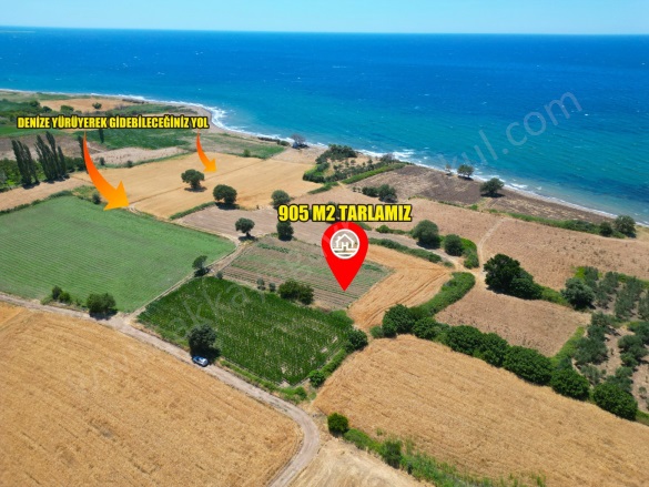 Merkez 1 Mah-Kösedere Köyü. Ayvacık Satılık Tarla |  905M2 1.800.000Tl Resim-5