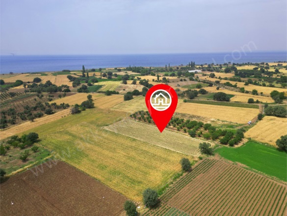 Merkez 1 Mah-Kösedere Köyü. Ayvacık Satılık Tarla |  2660M2 1.950.000Tl Resim-1
