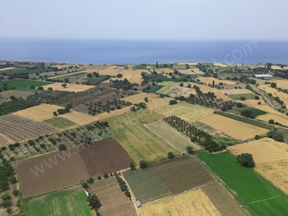Merkez 1 Mah-Kösedere Köyü. Ayvacık Satılık Tarla |  2660M2 1.950.000Tl Resim-3