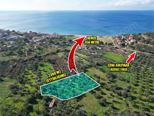 Alemşah Köyü Ezine Satılık Arazi |  2300M2 5.500.000Tl Resim-1