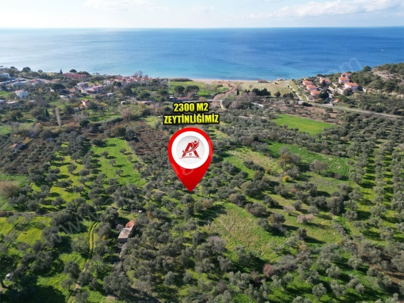 Alemşah Köyü Ezine Satılık Arazi |  2300M2 5.500.000Tl Resim-2