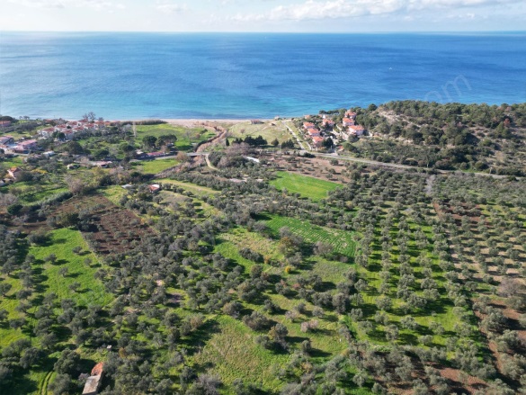 Alemşah Köyü Ezine Satılık Arazi |  2300M2 5.500.000Tl Resim-3