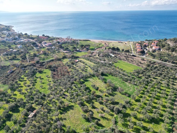 Alemşah Köyü Ezine Satılık Arazi |  2300M2 5.500.000Tl Resim-4