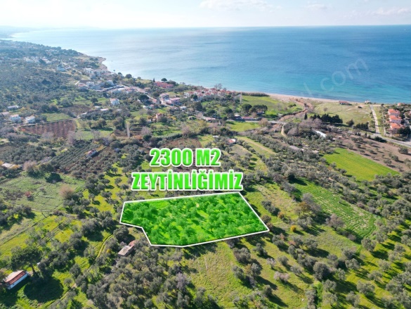 Alemşah Köyü Ezine Satılık Arazi |  2300M2 5.500.000Tl Resim-5