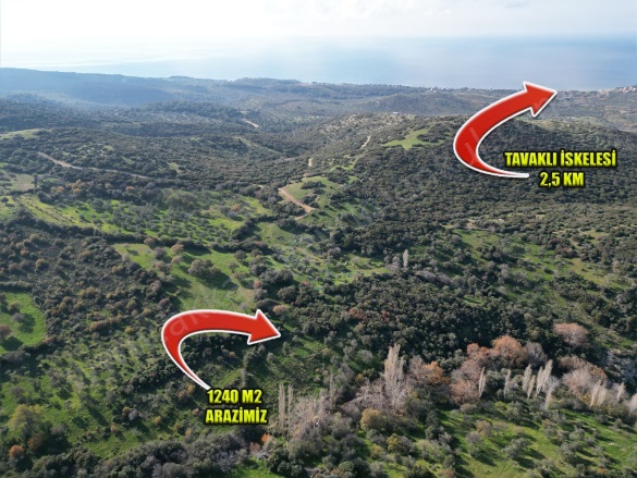 Tavaklı Köyü Ezine Satılık Arazi |  1240M2 900.000Tl Resim-1
