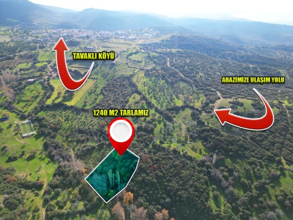 Tavaklı Köyü Ezine Satılık Arazi |  1240M2 900.000Tl Resim-2