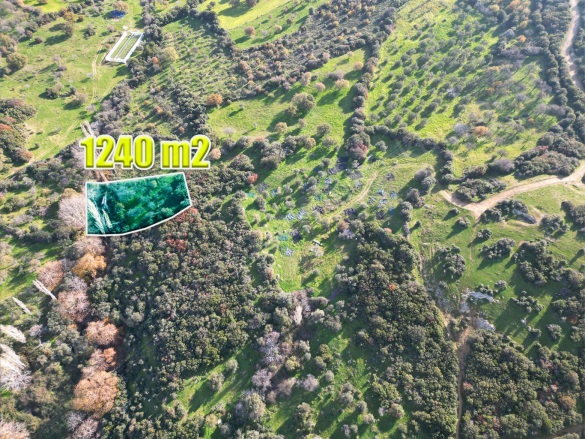 Tavaklı Köyü Ezine Satılık Arazi |  1240M2 900.000Tl Resim-3