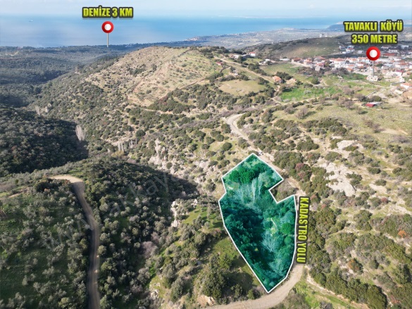 Tavaklı Köyü Ezine Satılık Arazi |  3658M2 2.490Tl Resim-3