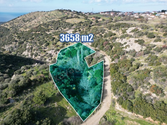 Tavaklı Köyü Ezine Satılık Arazi |  3658M2 2.490Tl Resim-5
