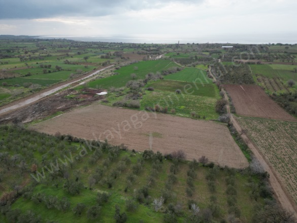 Acıgöl Mah-Kösedere Köyü. Ayvacık Satılık Arazi |  8000M2 7.500.000Tl Resim-3