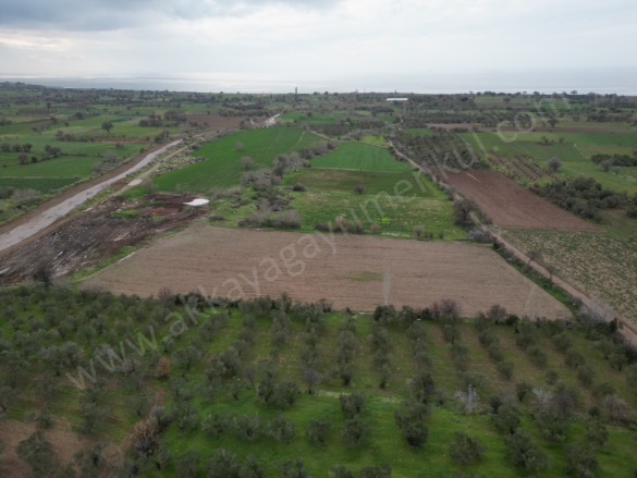 Acıgöl Mah-Kösedere Köyü. Ayvacık Satılık Arazi |  8000M2 7.500.000Tl Resim-4