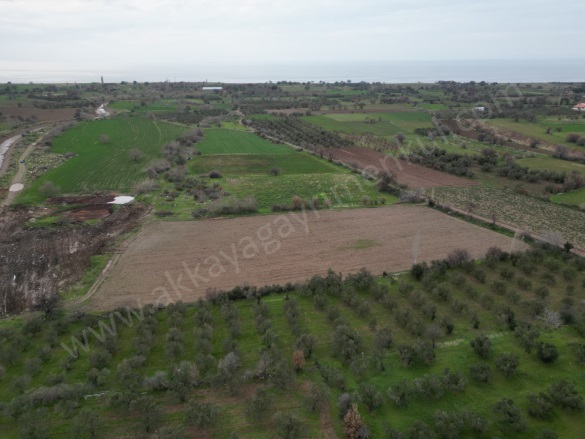 Acıgöl Mah-Kösedere Köyü. Ayvacık Satılık Arazi |  8000M2 7.500.000Tl Resim-5