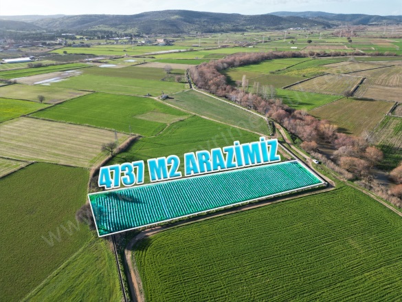 Seferşah Mah. Ezine Satılık Arazi |  4737M2 4.500.000Tl Resim-4