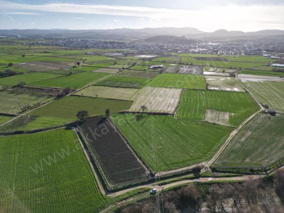 Seferşah Mah. Ezine Satılık Arazi |  4737M2 4.500.000Tl Resim-5