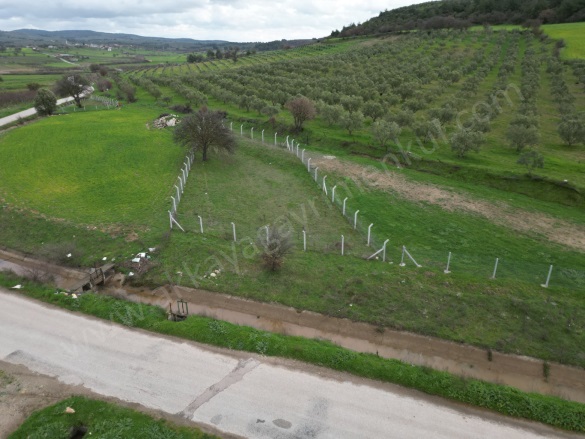 Akköy Köyü Ezine Satılık Tarla |  601M2 1.750.000Tl Resim-5