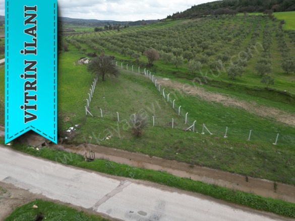 Akköy Köyü Ezine Satılık Tarla |  601M2 1.750.000Tl Resim-5