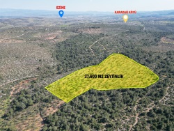 Ezine Karadağ Köyü Satılık Tarla 37600 M2
