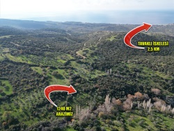 Ezine Tavaklı Köyü Satılık Arazi 1240 M2