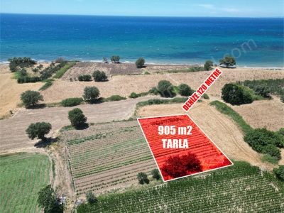 Kösederede Satılık Tarla Deniz Kenarı 905 M2 Bahçe Ayvacık Merkez 1 Mah-Kösedere Köyü