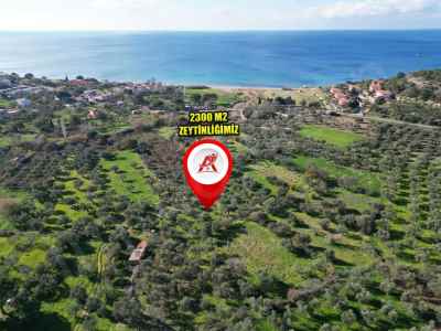 Land Kaufen In  Türkei, Canakkale, Ezine, Alemsah Koyu , 2300 m2