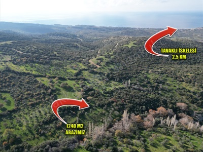 Tavaklıda Satılık Arazi 1240 M2 Hobi Bahçesi Ezine Tavaklı Köyü