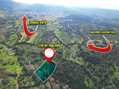 Terrain For Sale in  Turkey, Canakkale, Ezine, Tavakli Koyu , 1240 m2