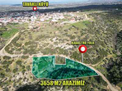 Terrain For Sale in  Turkey, Canakkale, Ezine, Tavakli Koyu , 3658 m2
