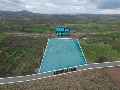 Kösederede Satılık Arazi Yatırımlık 8000 M2 Ayvacık Acıgöl Mah-Kösedere Köyü
