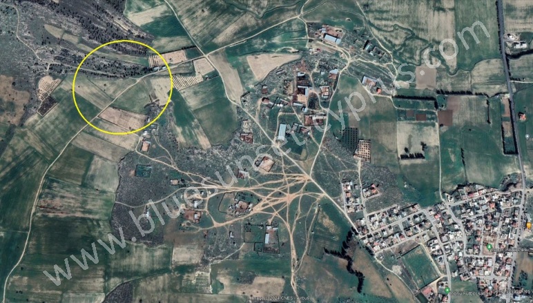 Merkez İnönü Satılık Tarla |  10500M2 12.000£ İmarlı  Resim-2