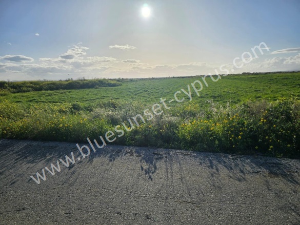 Merkez Nergisli Satılık Tarla |  8710M2 20.000£ İmarlı  Resim-4