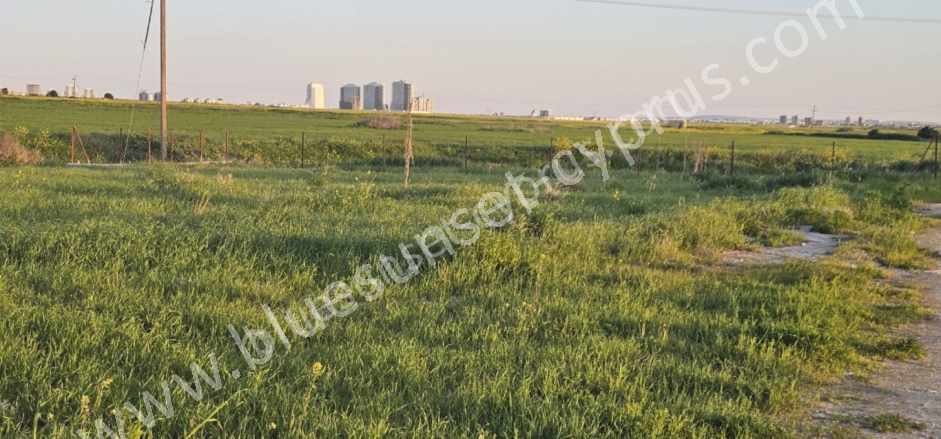 Satılık Arazi Hobi Bahçem Kktc iskele Sınırüstü