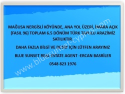 Nergisli Merkez Satılık Tarla 8710 M2