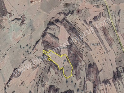 Satılık Arazi Kktc İskele Büyük Konuk