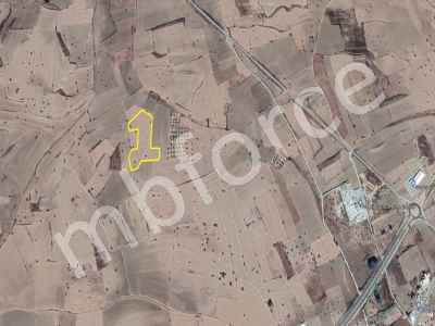 Field For Sale in  Cyprus, Kktc Iskele, Iskele, Cayirova 