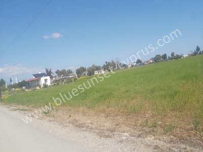 Satılık Tarla İmara Açık Arazi Kktc Gazimağusa (Mağusa) Dörtyol