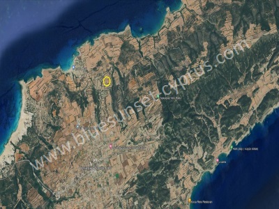 Satılık Tarla Arazi Kktc İskele Dipkarpaz