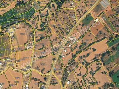 Satılık Tarla Kktc İskele Yeşilköy